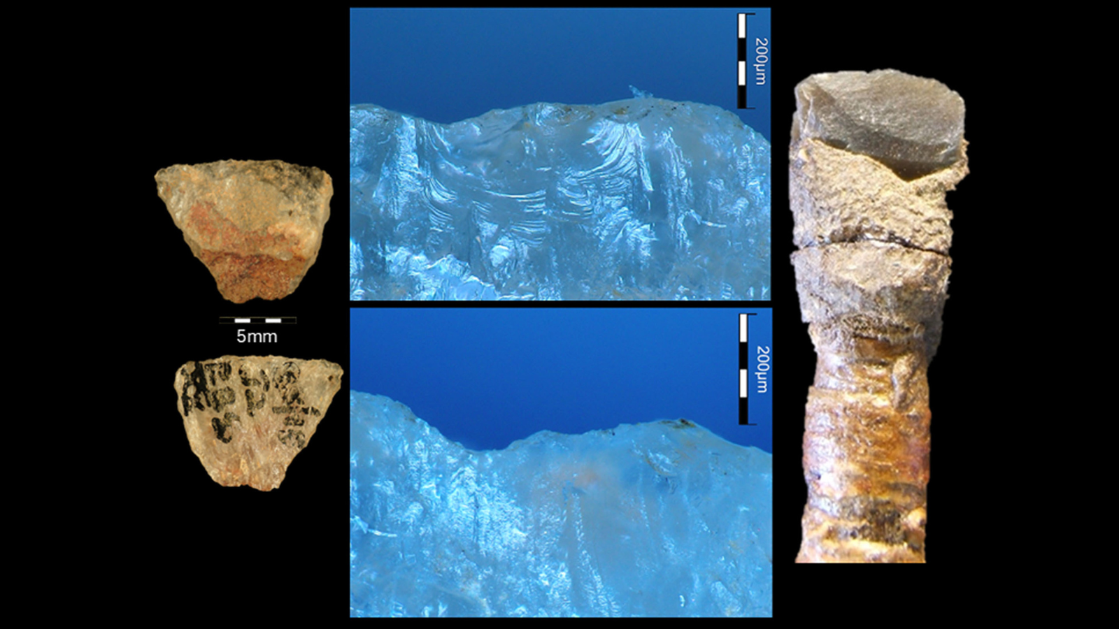 60 000 year old Poison Arrows From South Africa Are The Oldest Poison Weapons Ever Discovered Live Science