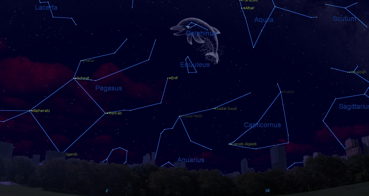 A Star Called Bob Dolphin Constellation s Weird Star Names Explained Space