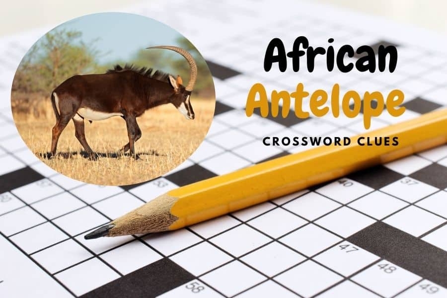 african antelope crossword puzzle