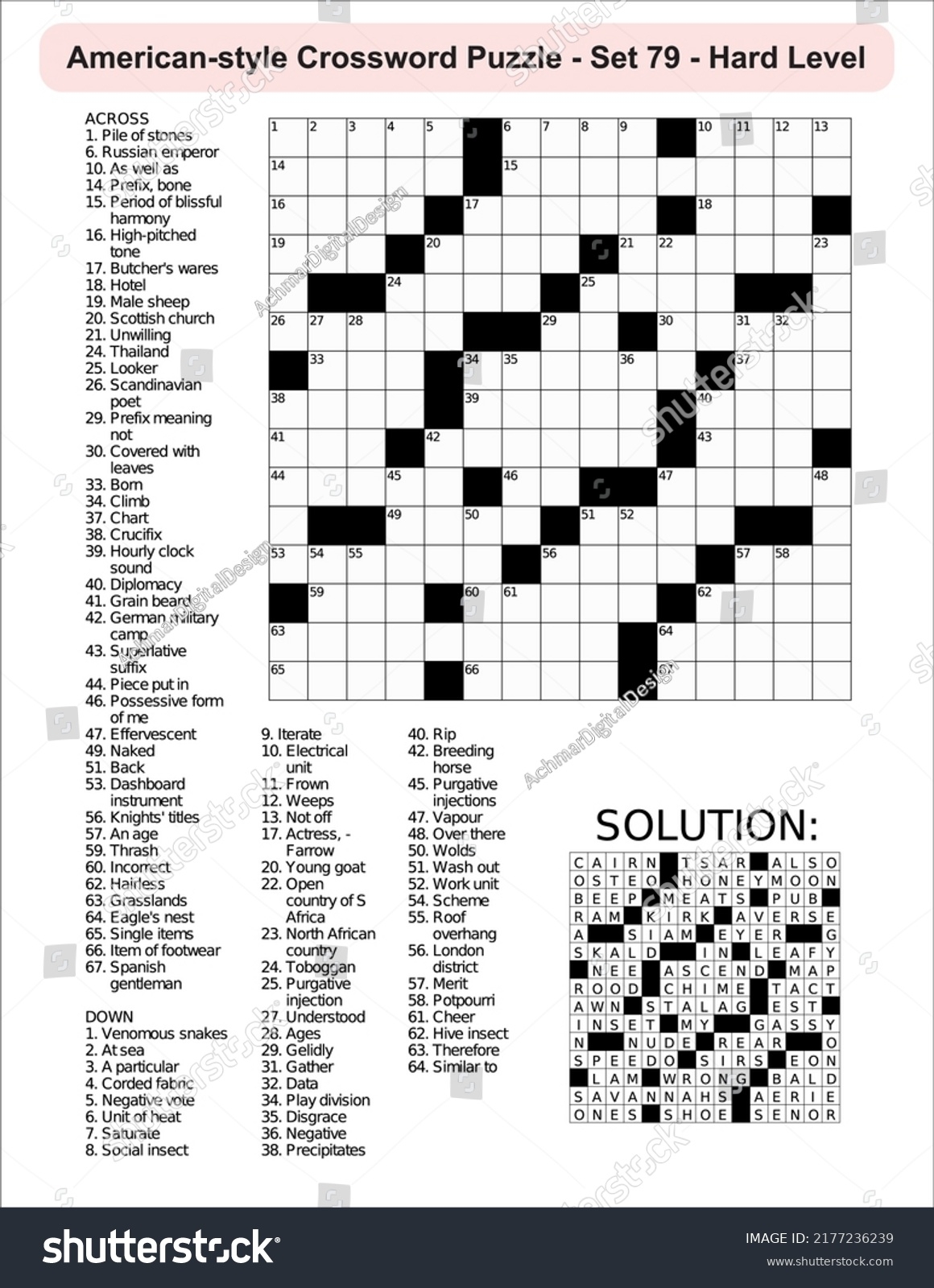 American style Crossword Puzzle Game 15 X Stock Vector Royalty Free 2177236239 Shutterstock