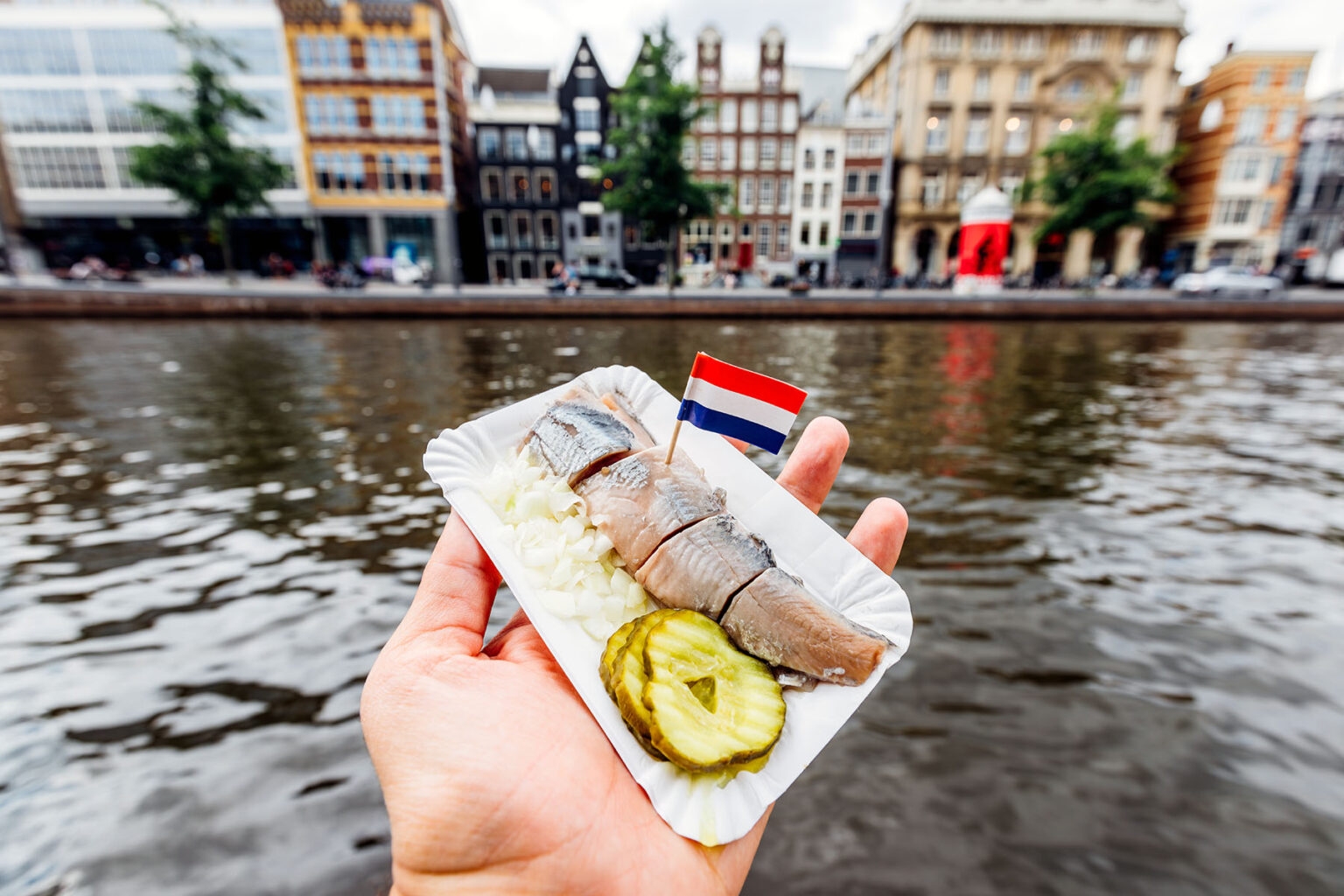 where herrings become kippers crossword clue