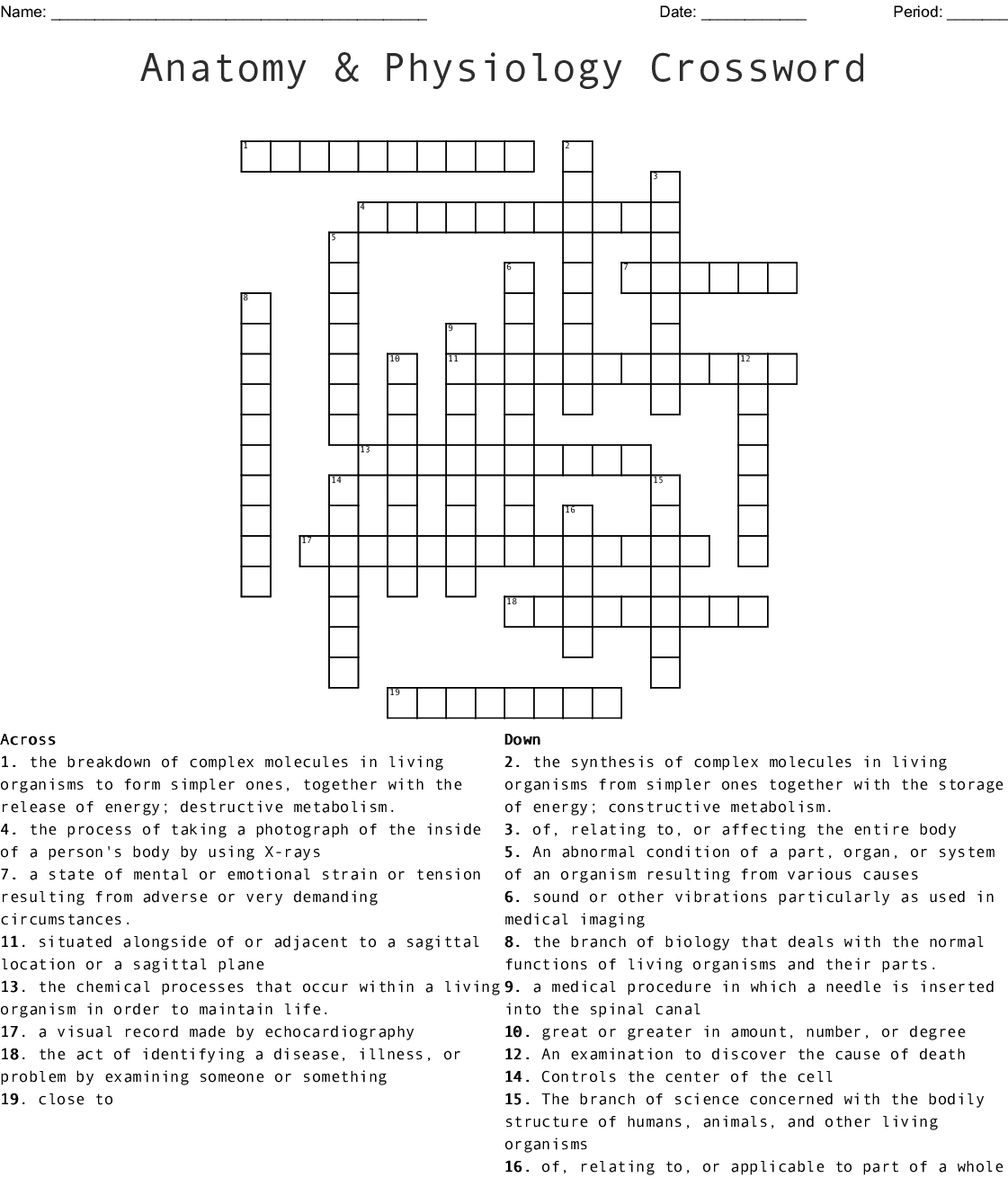 Anatomy And Physiology Crossword Puzzle Printable Anatomy Worksheets