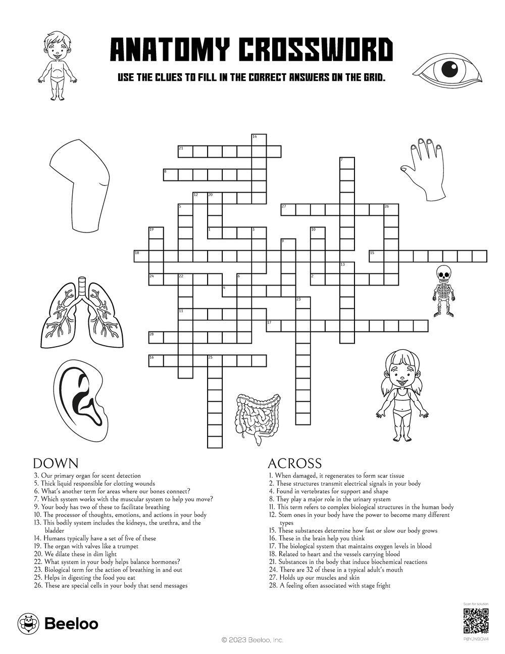 Anatomy Crossword Beeloo Printable Crafts And Activities For Kids