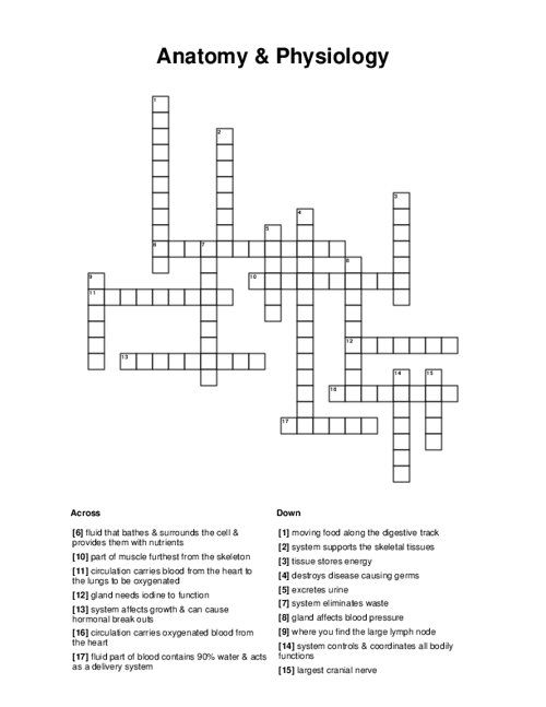 Anatomy Physiology Crossword Puzzle