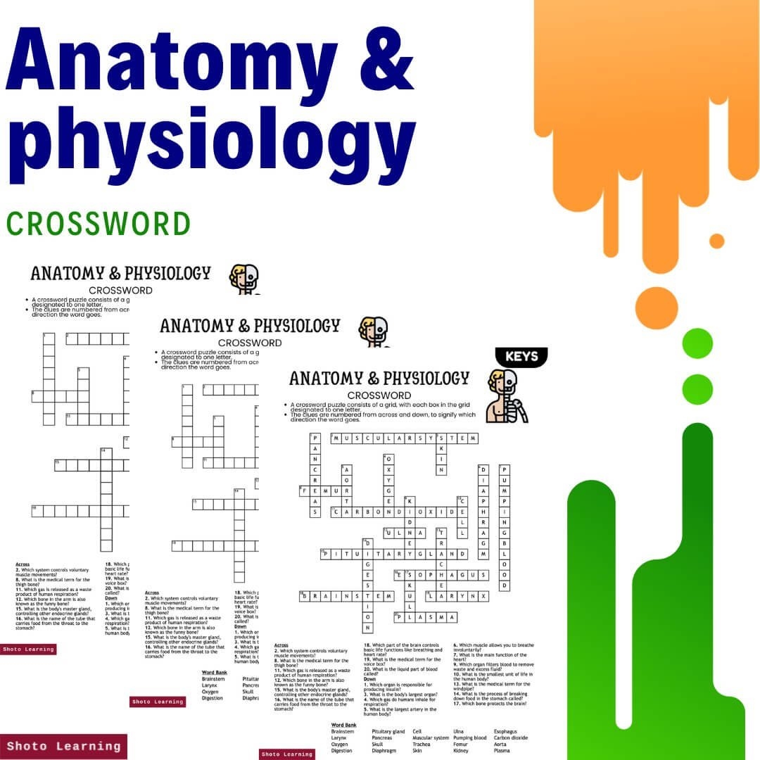 Anatomy Physiology Crossword Worksheet 20 Clues Answer Key