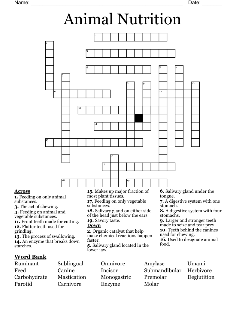 Animal Nutrition Crossword WordMint