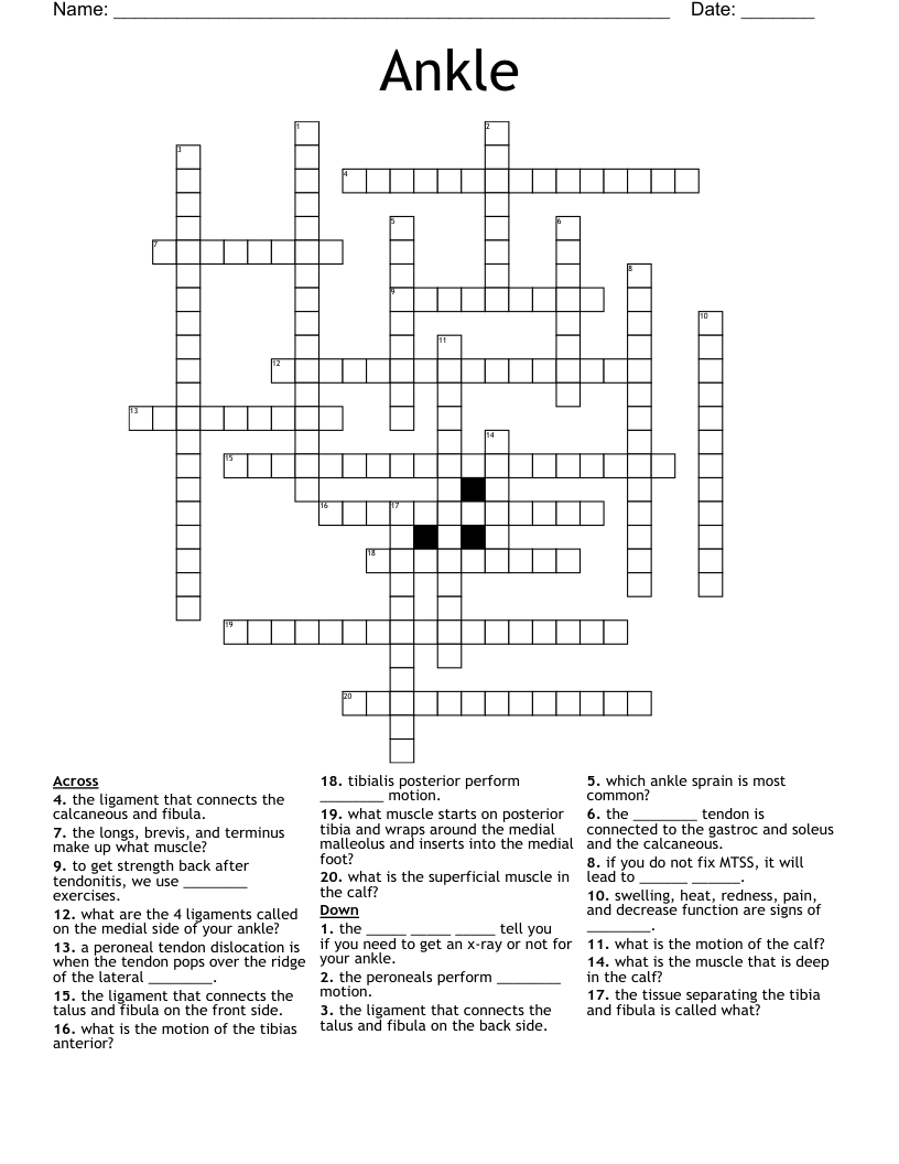 Ankle Crossword WordMint Ankle Crossword WordMint