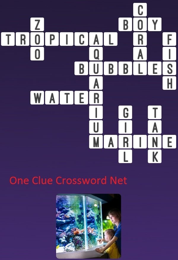 Aquarium Get Answers For One Clue Crossword Now Aquarium Get Answers For One Clue Crossword Now