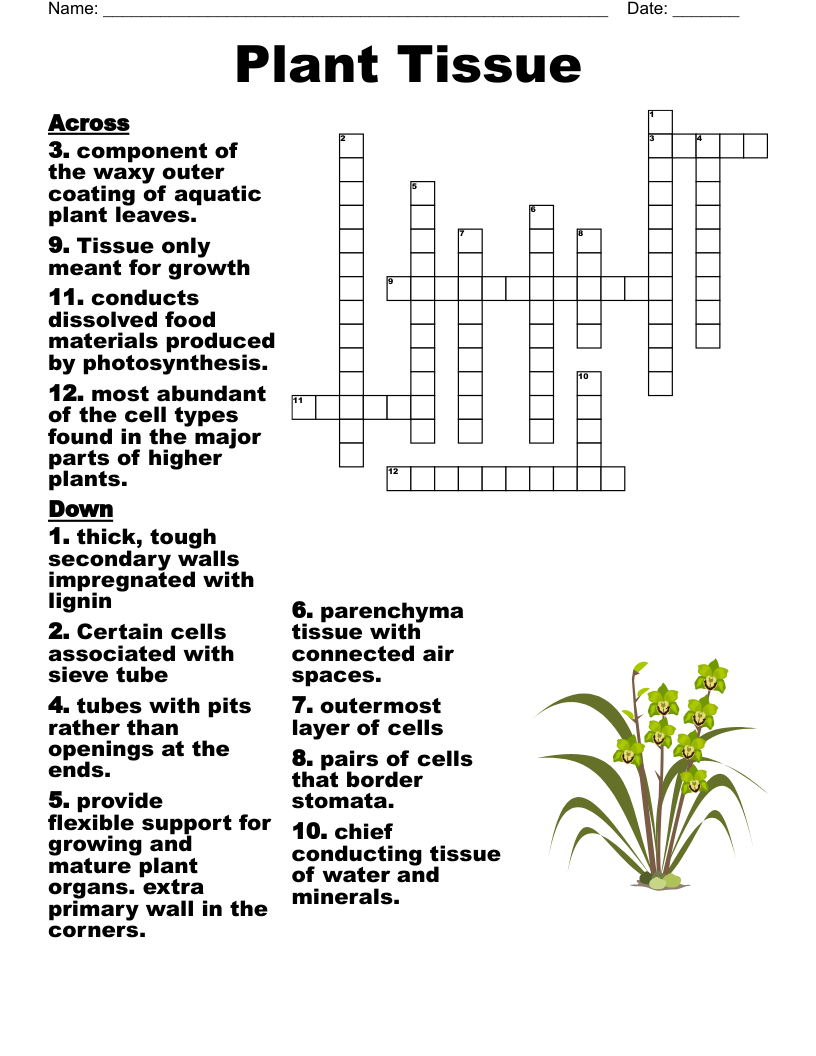 Aquatic Plants Crossword WordMint