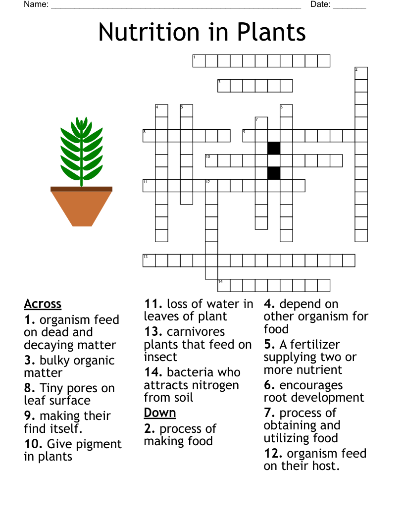 Aquatic Plants Crossword WordMint