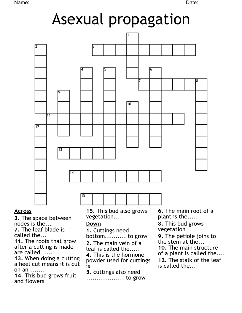 Asexual Propagation Crossword WordMint