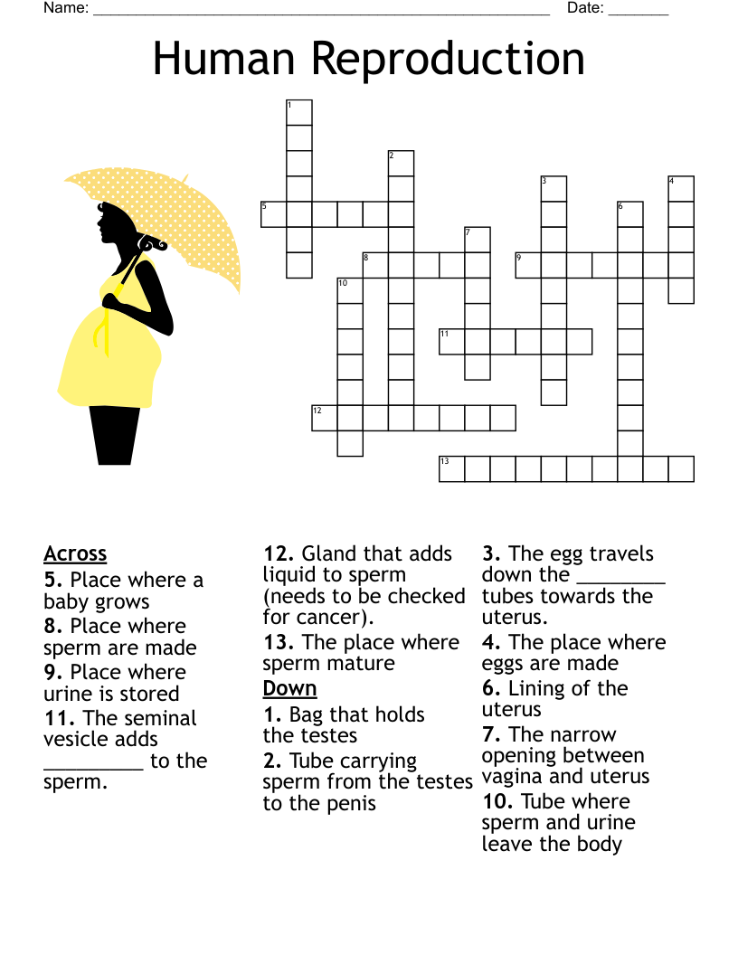 grows dim crossword clue grows dim crossword clue