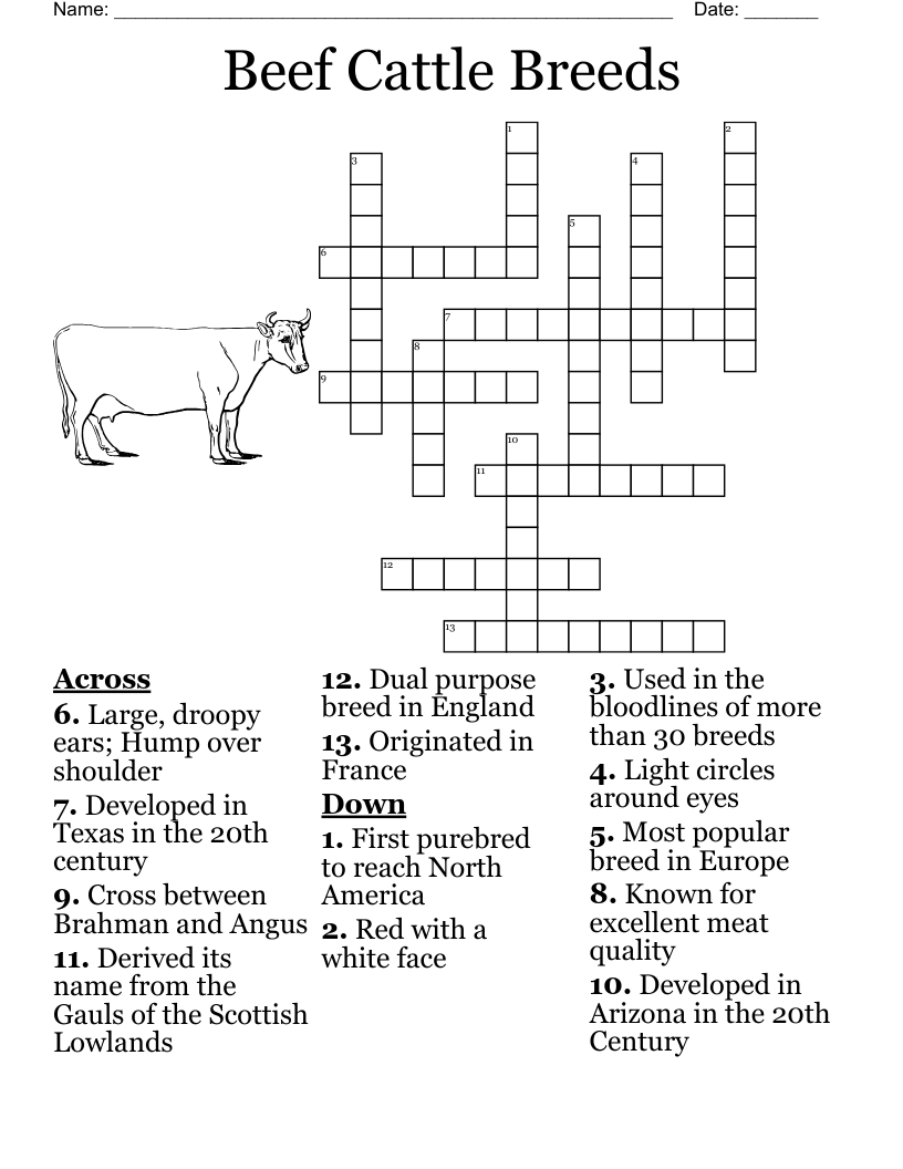 Beef Cattle Breeds Crossword WordMint Beef Cattle Breeds Crossword WordMint