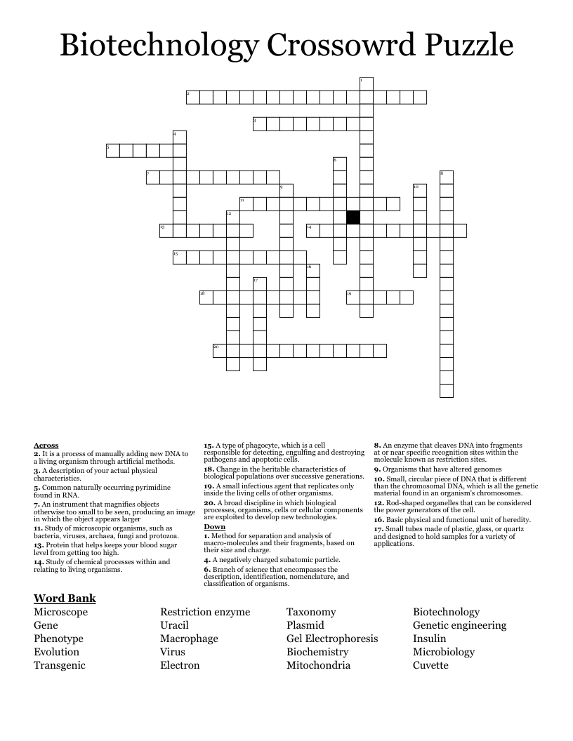 macro type crossword clue macro type crossword clue