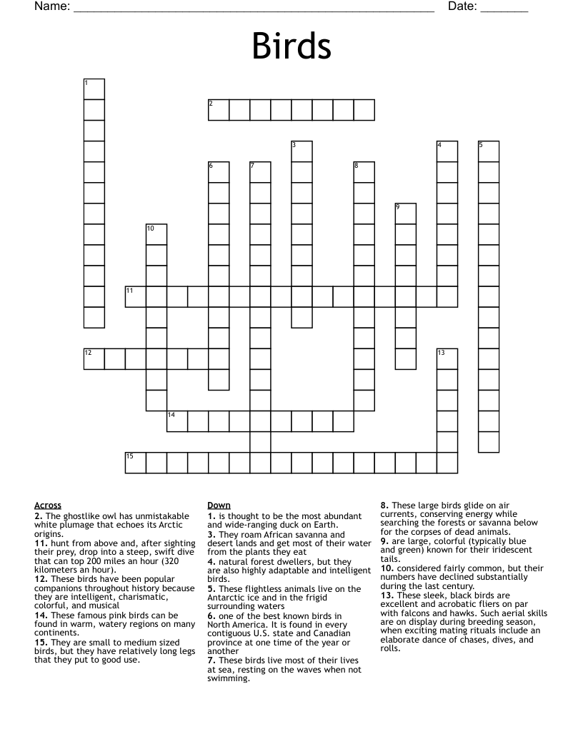 Birds Crossword WordMint