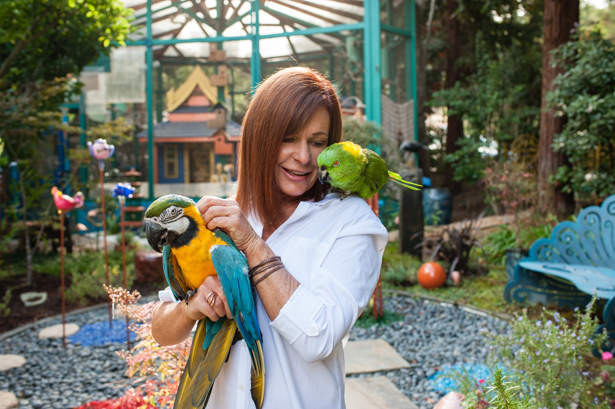 kiwi or ostrich nyt crossword