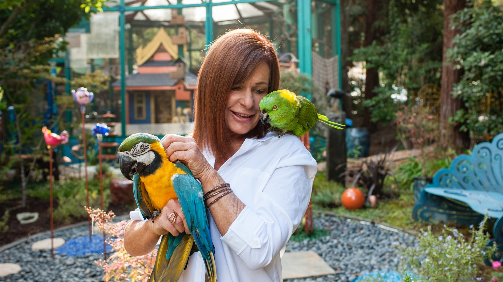 Birds In The New York Times Crosswords The New York Times