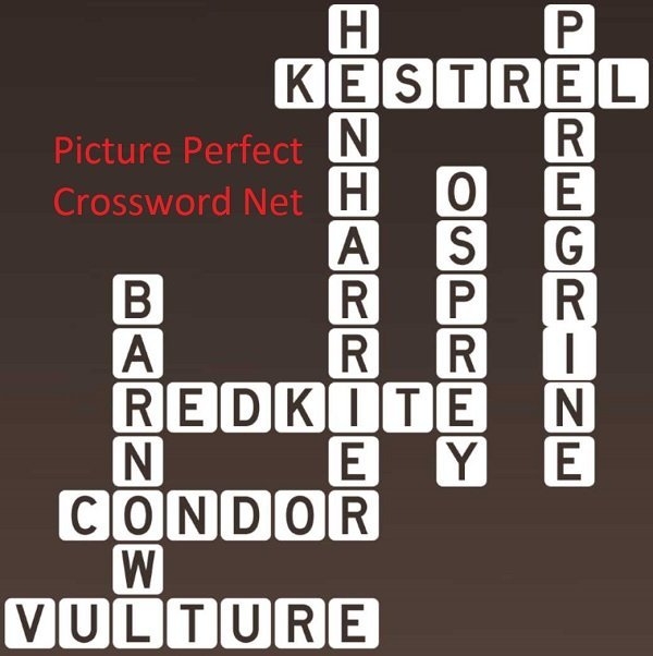 Birds Of Prey Picture Perfect Crossword
