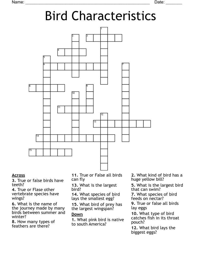 baby nocturnal birds crossword clue