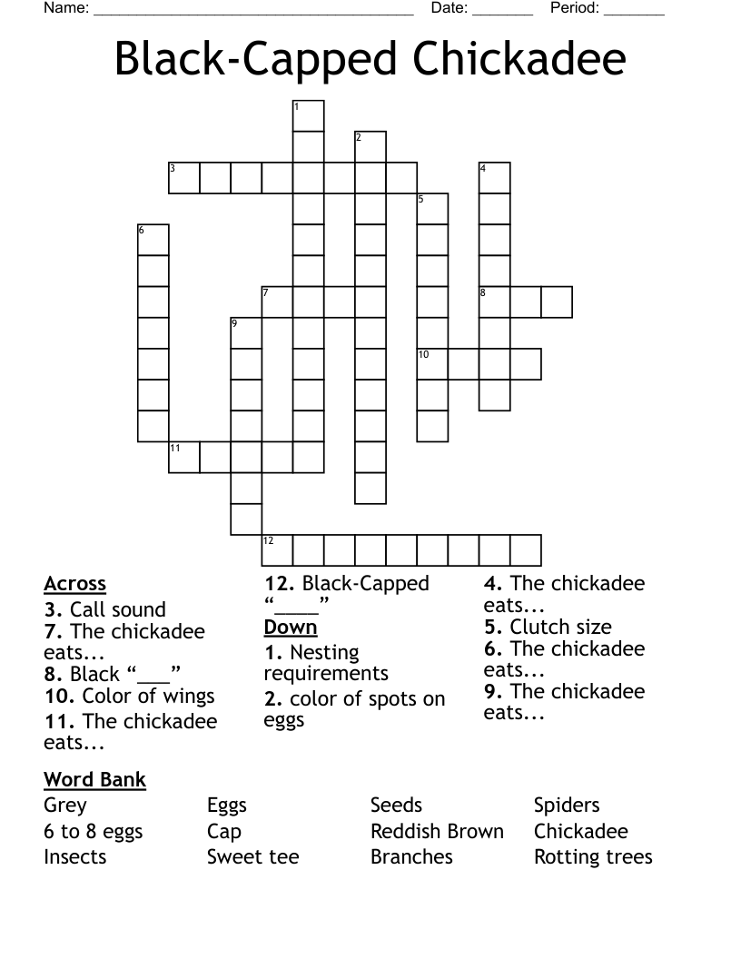 Black Capped Chickadee Crossword WordMint