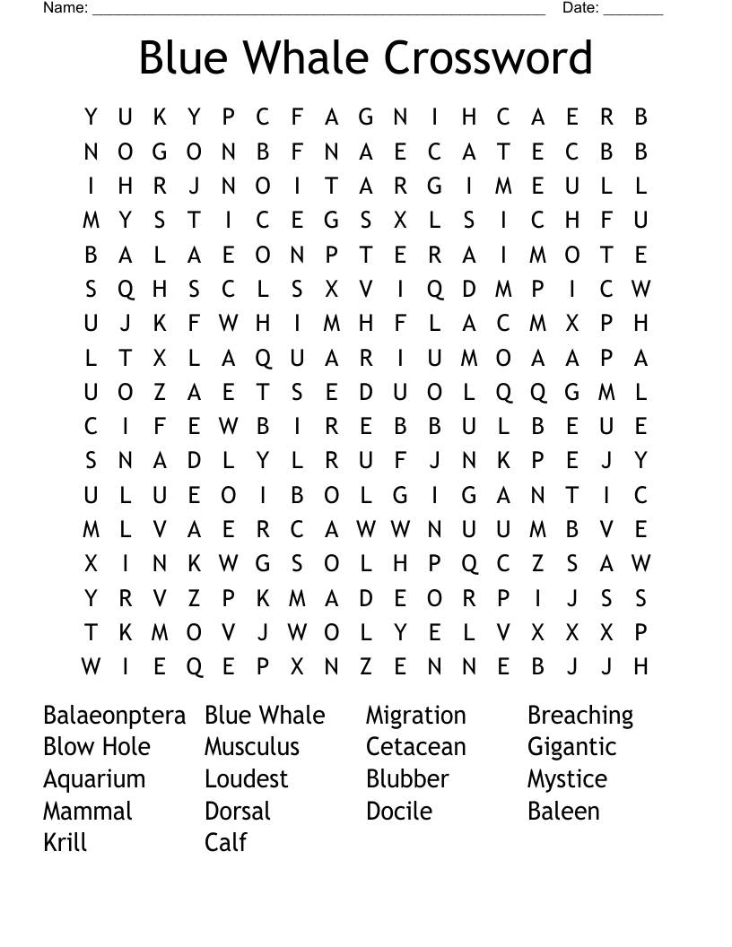 Blue Whale Crossword Word Search WordMint