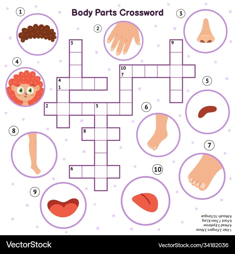 Body Parts Crossword Puzzle Worksheets Puzzle Worksheets Printable Body Parts Crossword Puzzle Worksheets Puzzle Worksheets Printable