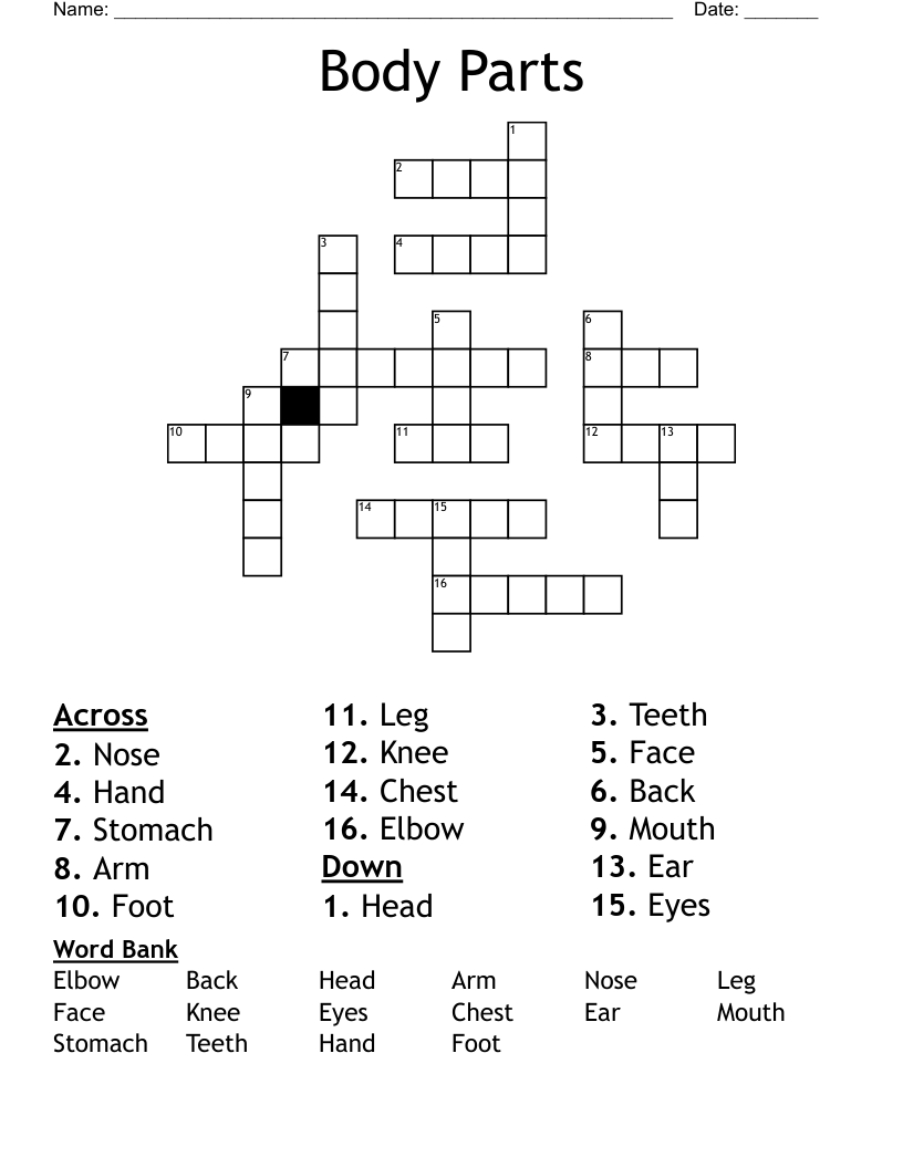 Body Parts Crossword WordMint