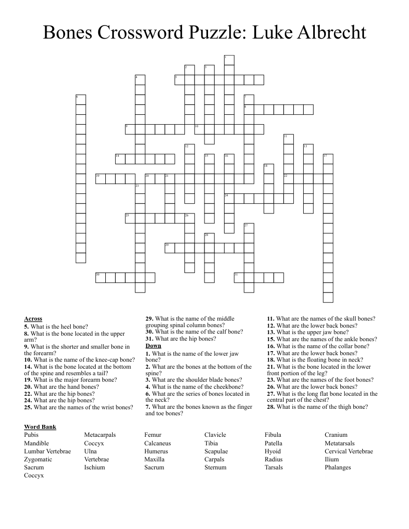Bones Crossword Puzzle Luke Albrecht WordMint
