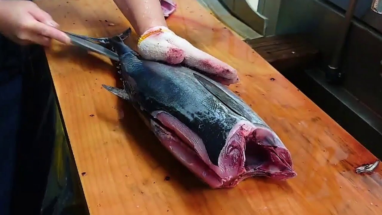Bonito Fish Filleting Sashimi Making YouTube