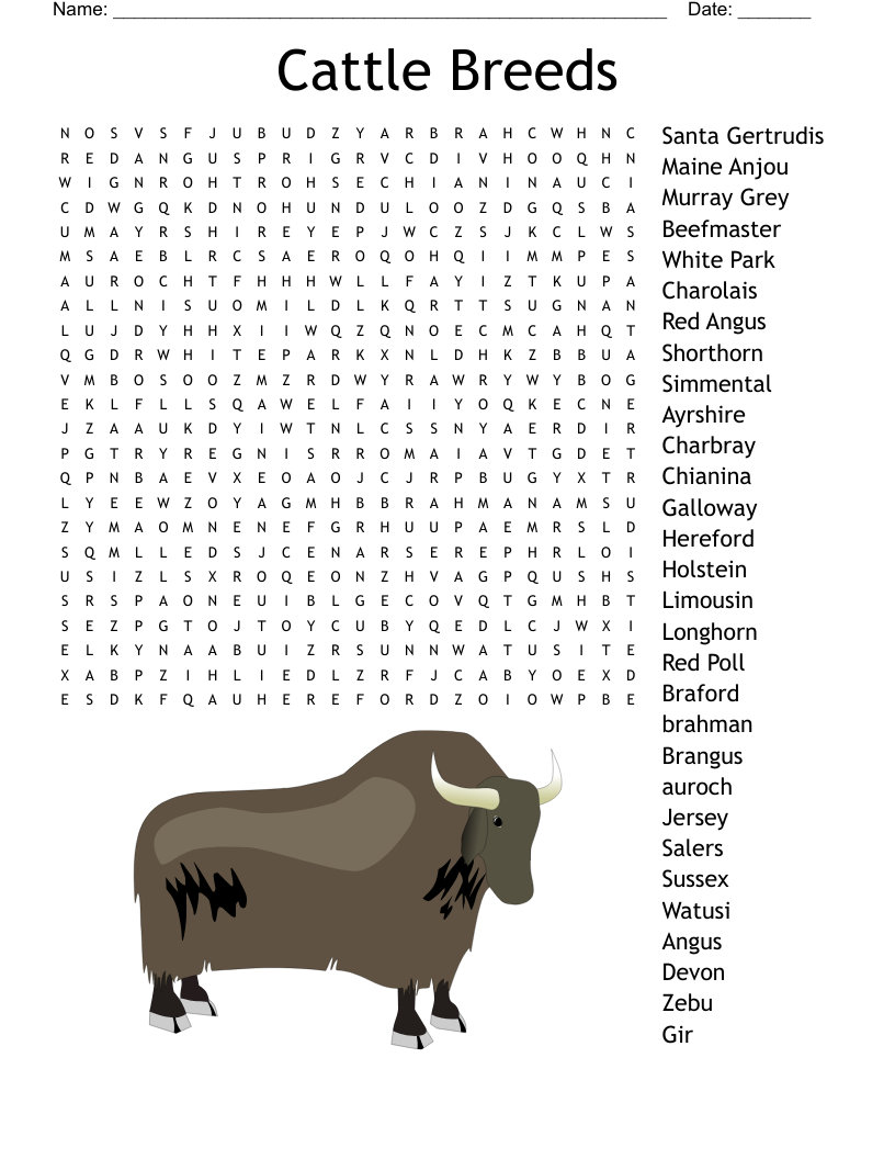 Bovine Breeds Crossword WordMint Bovine Breeds Crossword WordMint
