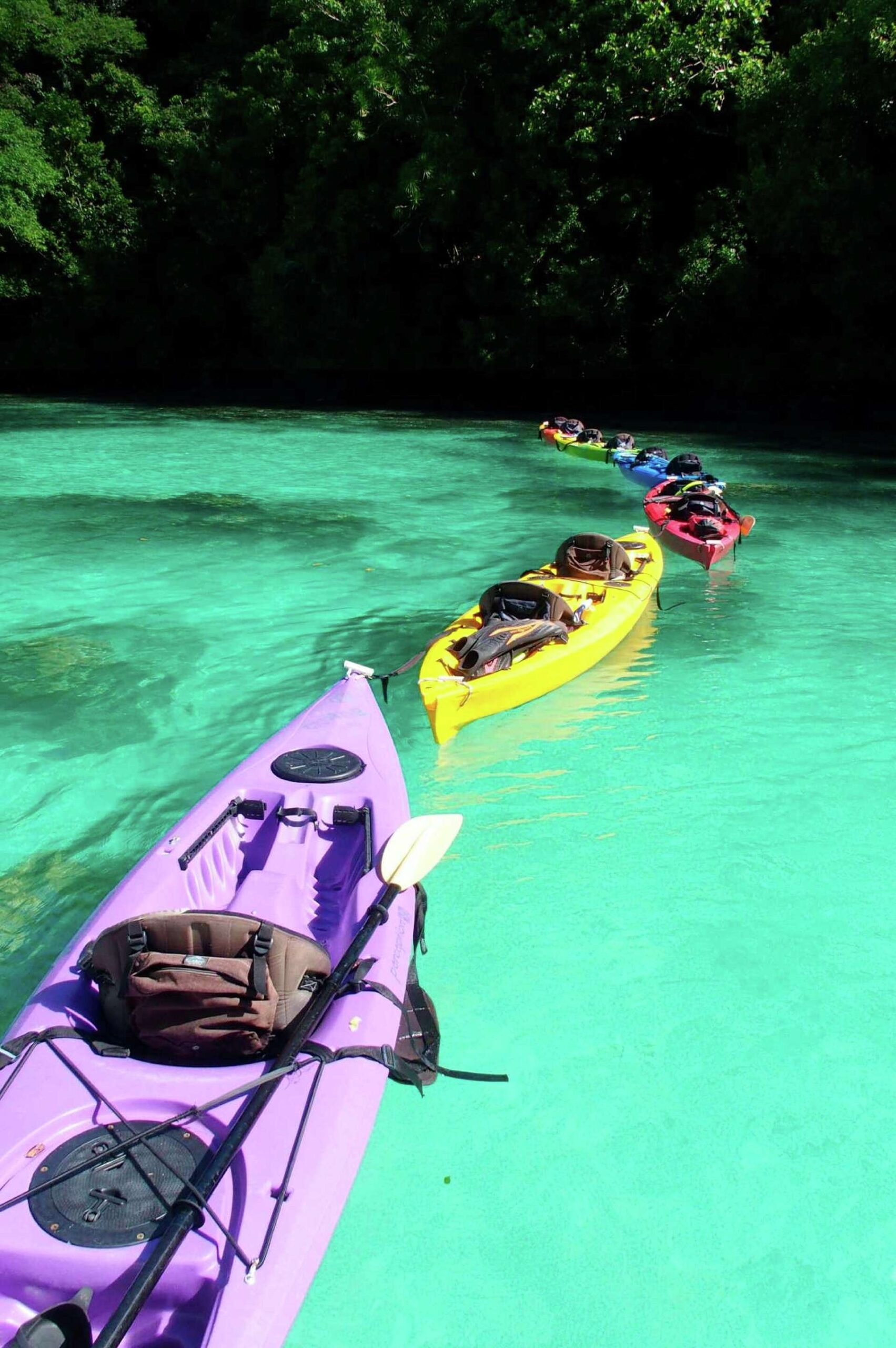 kayak listing crossword clue kayak listing crossword clue