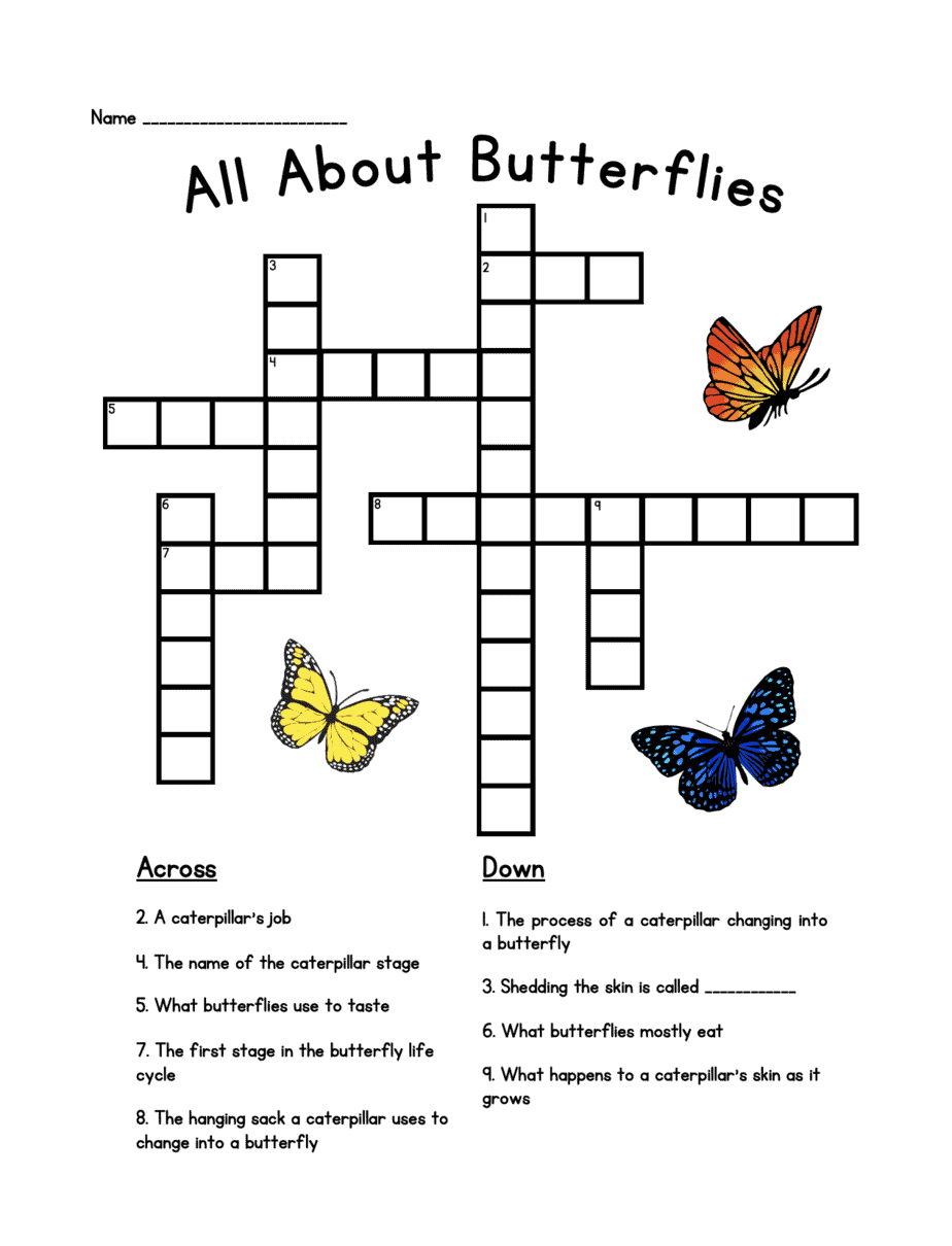 Butterfly Learning Pack 4onemore