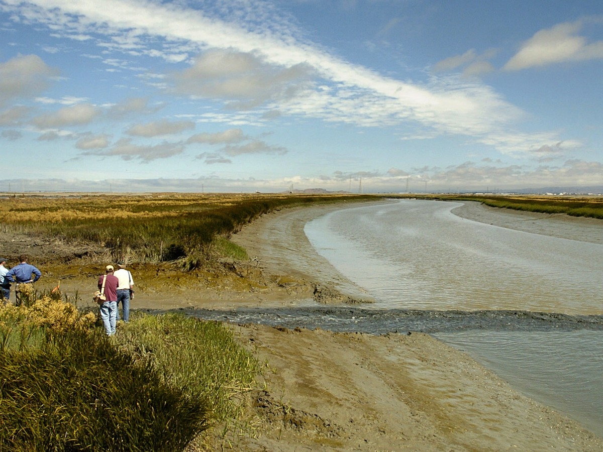 Can The San Francisco Bay Be Saved From The Sea The Atlantic