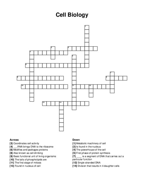 Cell Biology Crossword Puzzle