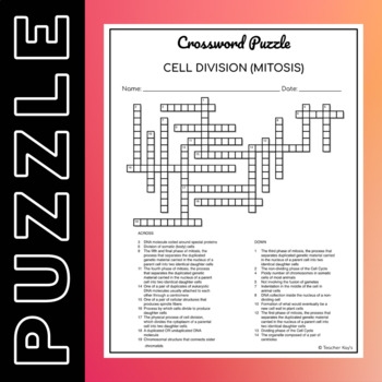Cell Division MITOSIS Crossword Puzzle Word Bank By Bob Prints Cell Division MITOSIS Crossword Puzzle Word Bank By Bob Prints