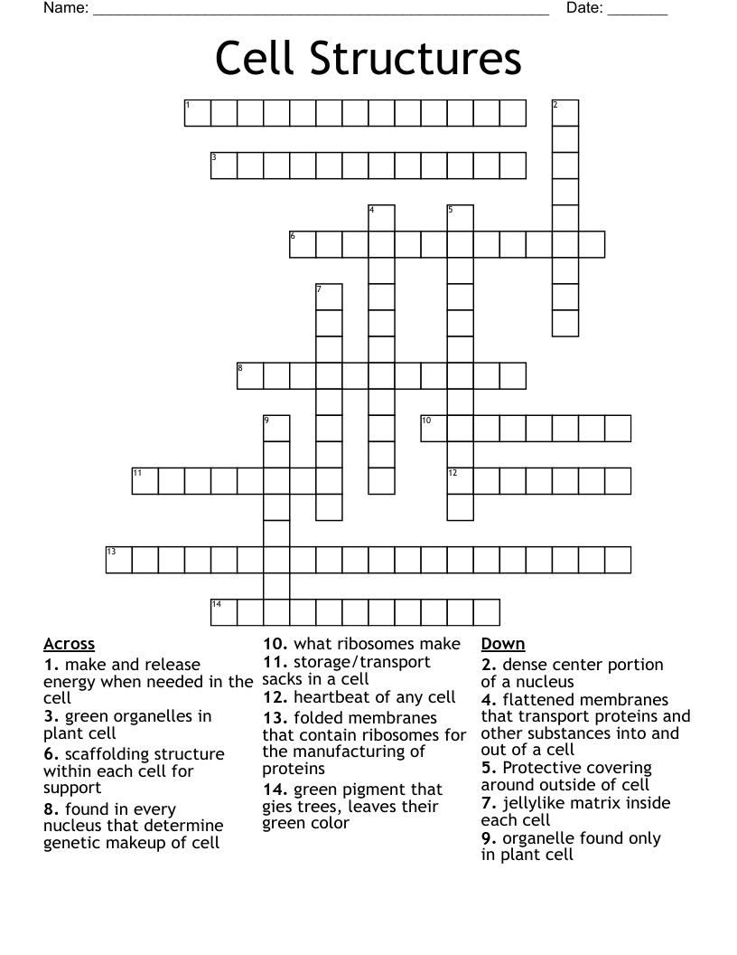 Cell Structures Crossword WordMint