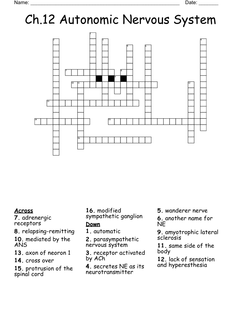 Ch 12 Autonomic Nervous System Crossword WordMint Ch 12 Autonomic Nervous System Crossword WordMint