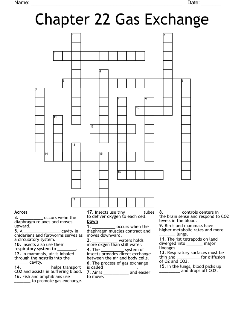 Chapter 22 Gas Exchange Crossword WordMint