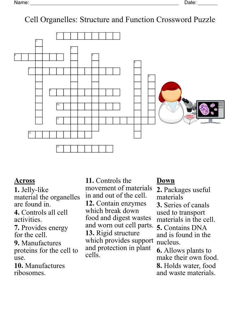 Chapter 6 Cell Structure And Function Crossword WordMint Chapter 6 Cell Structure And Function Crossword WordMint