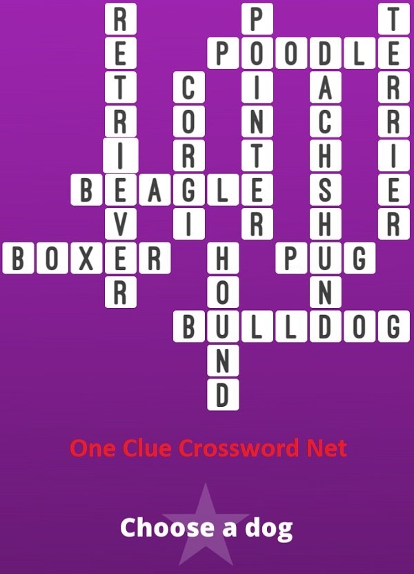 Choose A Dog Bonus Puzzle Get Answers For One Clue Crossword Now Choose A Dog Bonus Puzzle Get Answers For One Clue Crossword Now