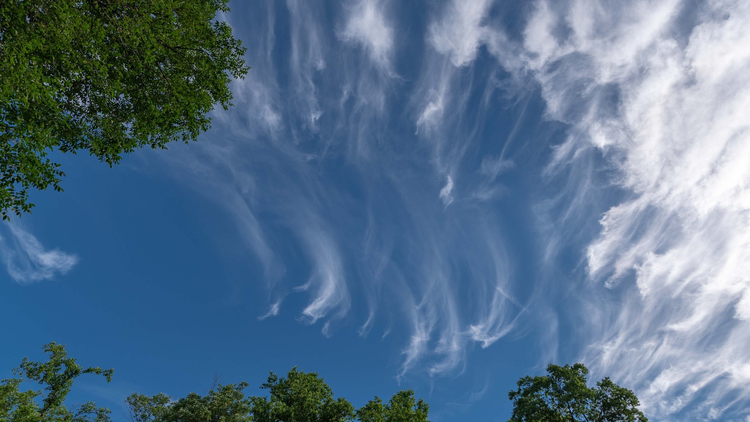 Cirrus Clouds High Wispy Streaks WhatsThisCloud