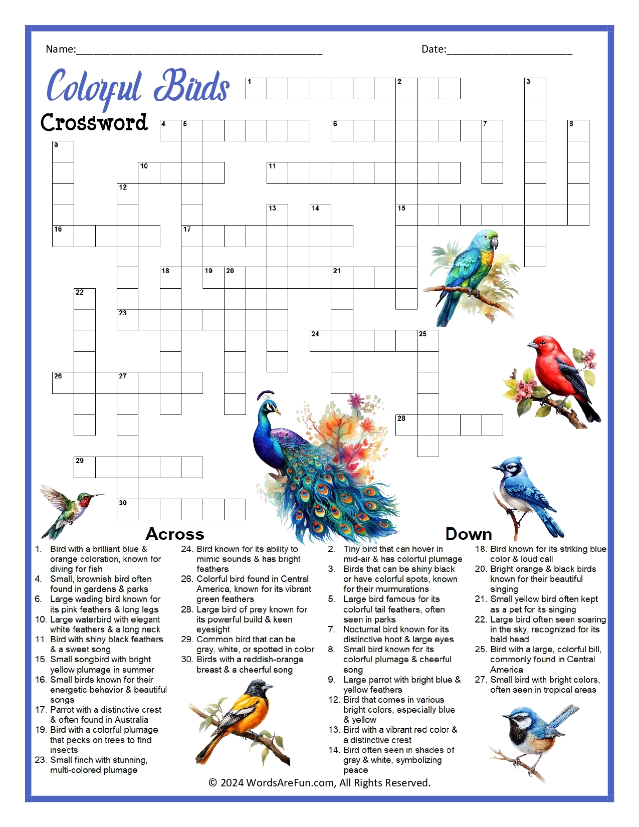 baby bird crossword clue