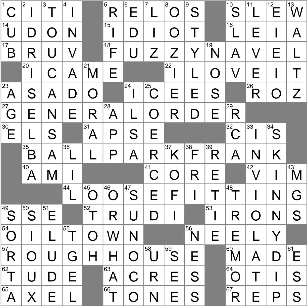 novice crossword puzzle clue