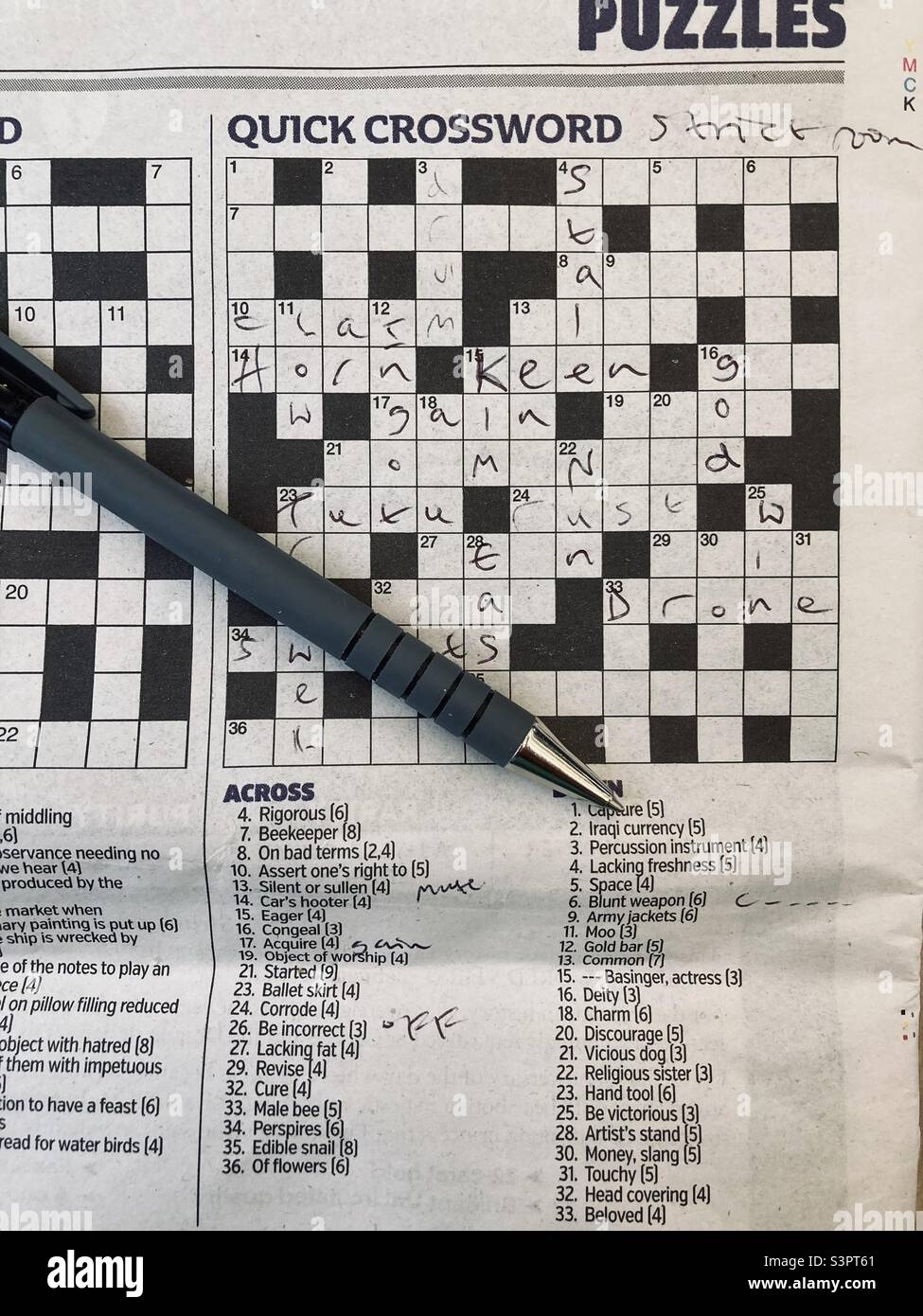 crossword clue puts up with
