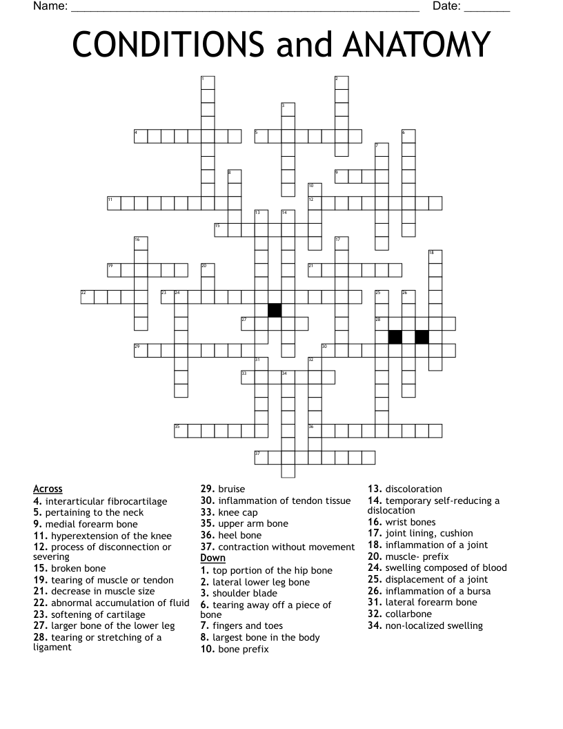 CONDITIONS And ANATOMY Crossword WordMint