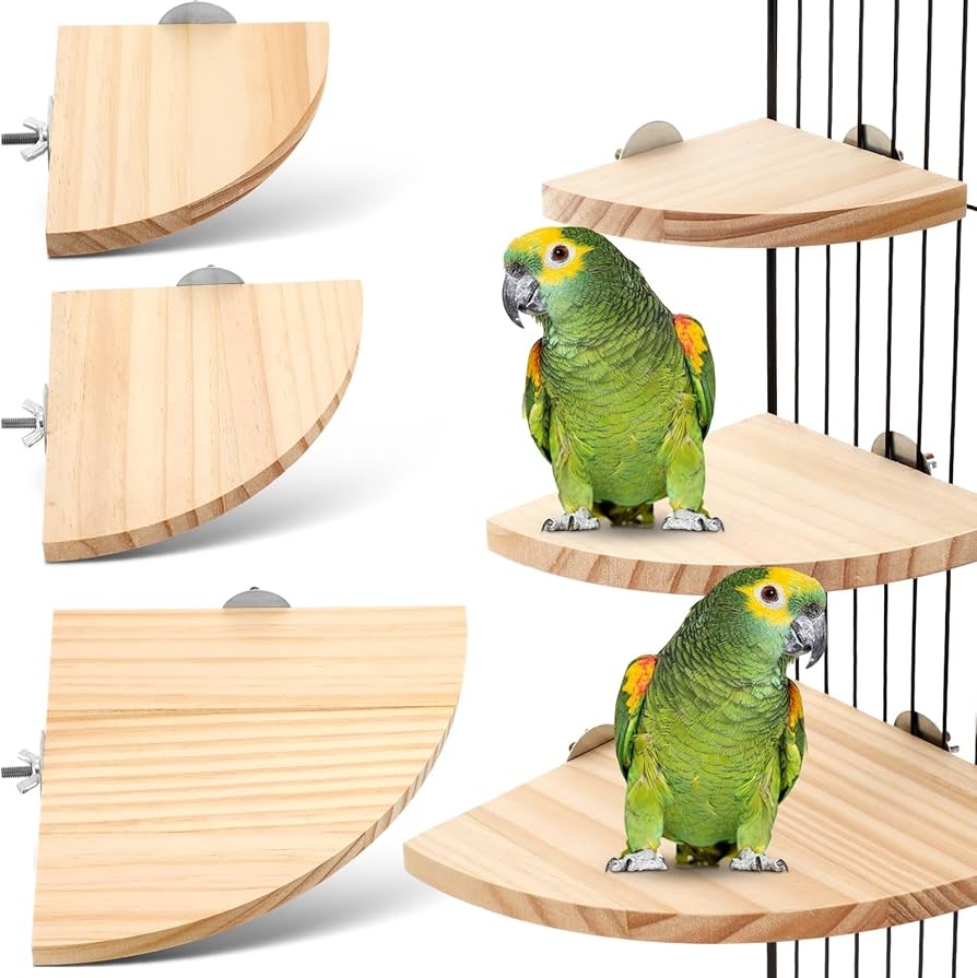 Crossword Clue 2 Pieces Bird Perch Stand Wooden Play Platform Toy For Bird Bird Accessories For Cage Crossword Clue 2 Pieces Bird Perch Stand Wooden Play Platform Toy For Bird Bird Accessories For Cage