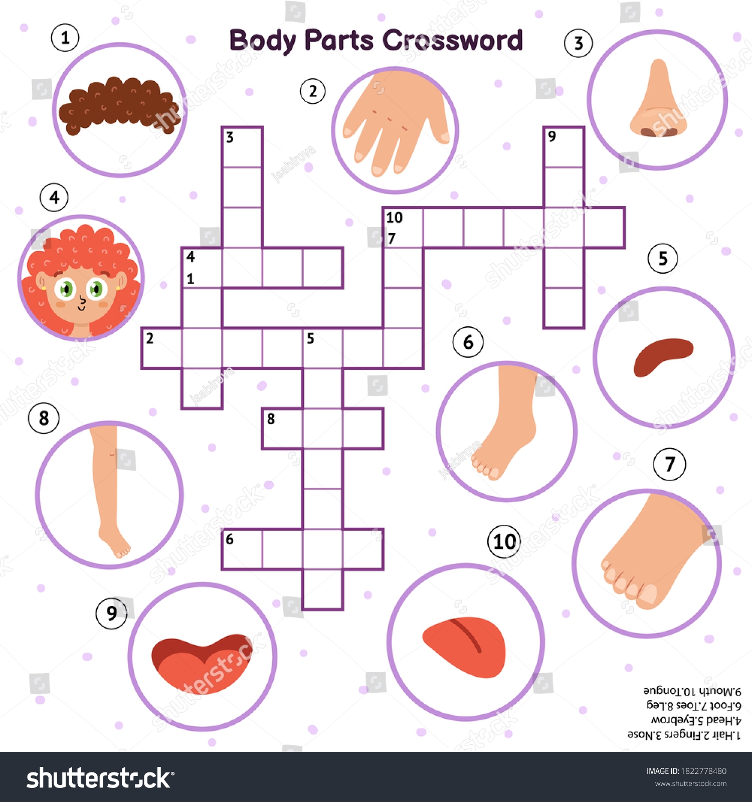 Crossword Puzzles Hair Pieces Crossword Clue Body Parts Crossword Head Hair Fingers Stock Vector Royalty Free