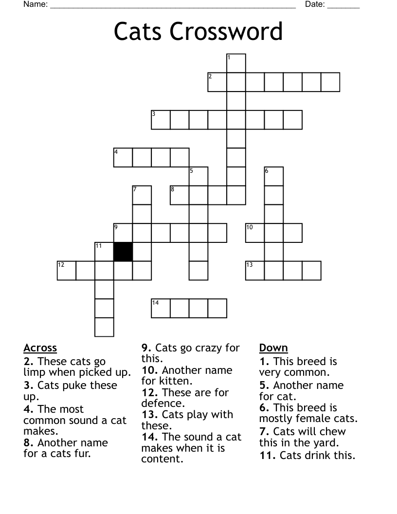 Dark Brown Cat Crossword Clue