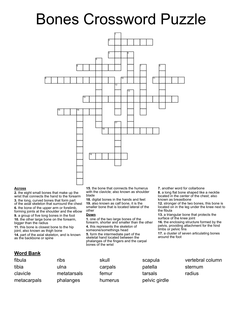 Darn It Crossword 5 Letters Letters