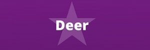 Deer Bonus Puzzle Get Answers For One Clue Crossword Now Deer Bonus Puzzle Get Answers For One Clue Crossword Now